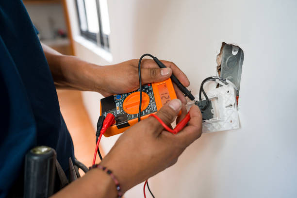 Best Electrical Remodeling Services  in Dewitt, MI